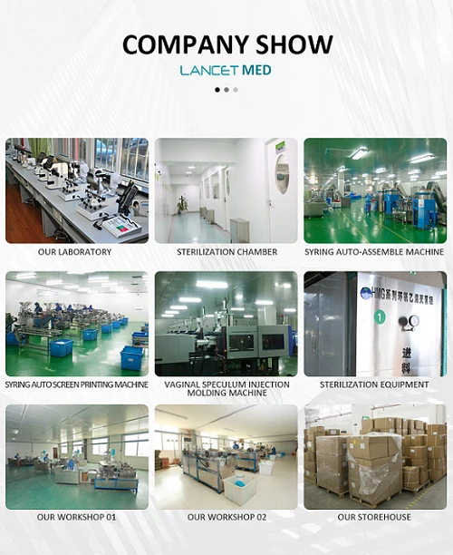 XINGANG5
