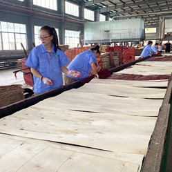 Film coated board production line-2.jpg