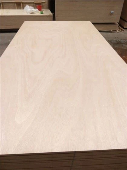 Bintangor Okoume Pine Multiplex voor meubels / verpakking