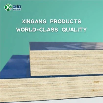 11-laags PVC-filmmultiplex 18 mm-filmgezichtsmultiplex PP-kunststoffilm-geconfronteerd met multiplex