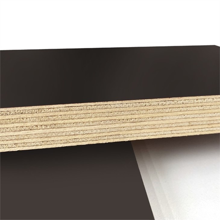 18mm Film-Faced Plywood Board Construction Shuttering Wood Panel