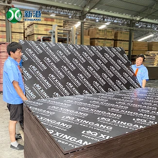 Phenolic Brown Eucalyptus Plywood
